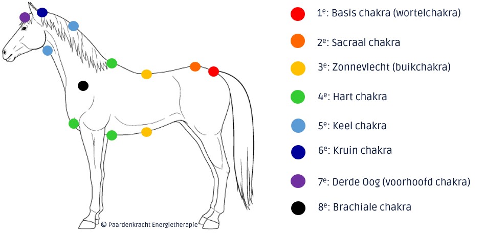Knipsel blauw zonder tekst chakra