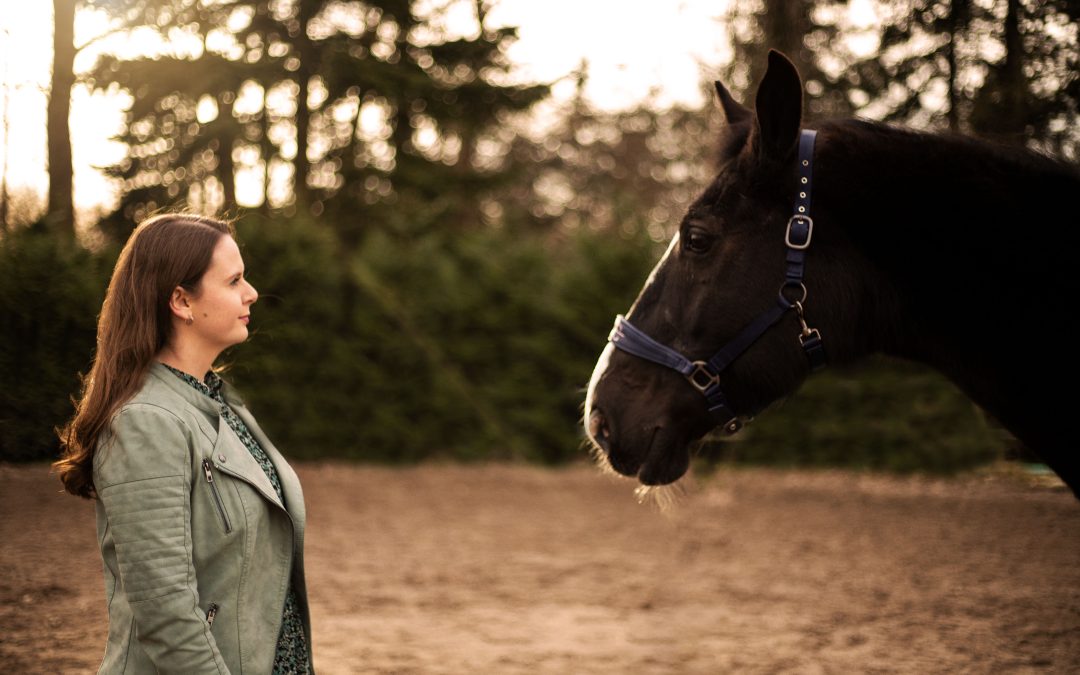 Fotoreading overleden paard/pony